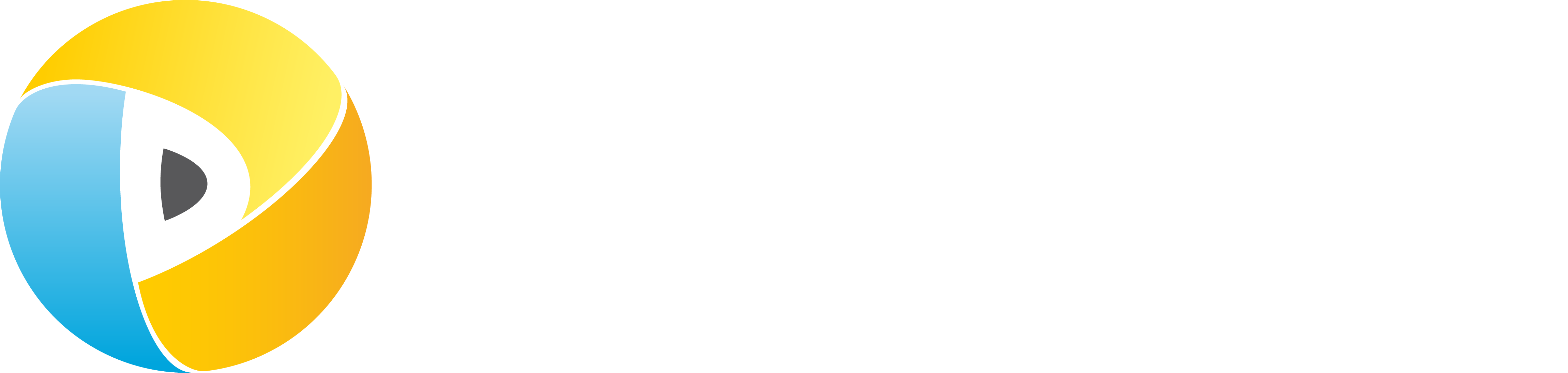 Logo TerriCam